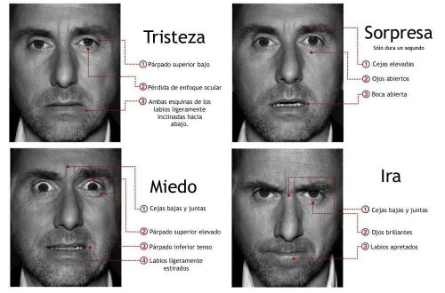 Descubre las características de una persona feliz: ¿Cómo identificarlas? La importancia de la felicidad en nuestras vidas