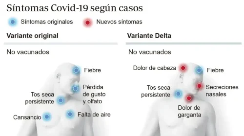 Depresión vs Melancolía: Diferencias clave que debes conocer
